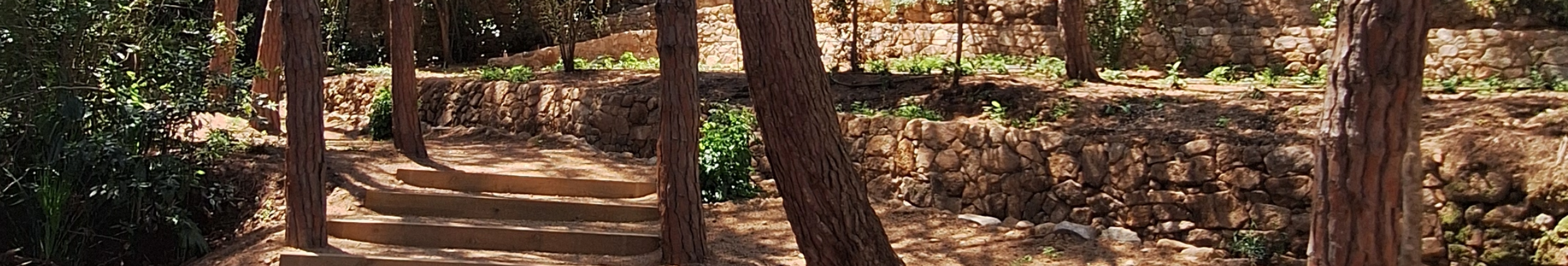 Reobrim els Jardins del Monestir